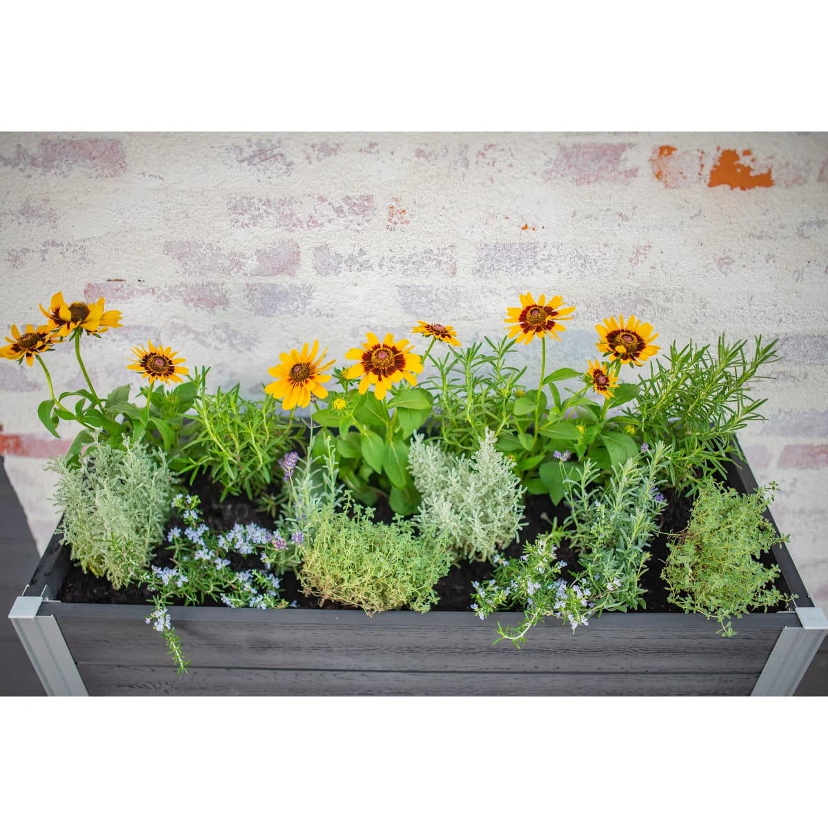 Vita Urbana Greens Elevated Garden image 3