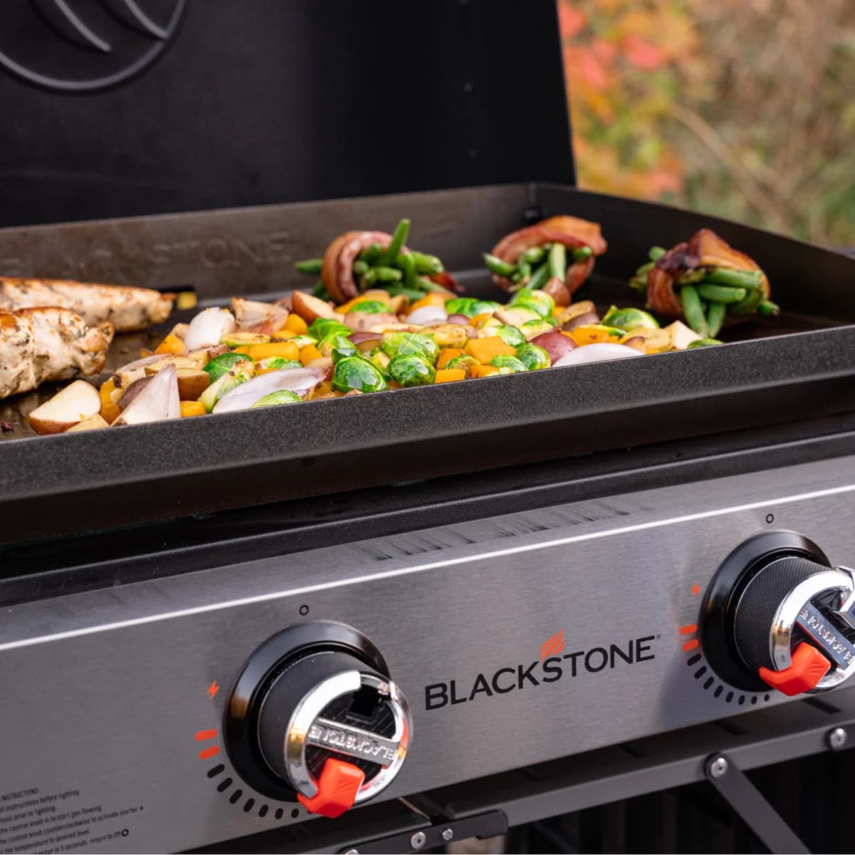 Blackstone Original 22in Griddle W:hood and Carry Bag image 11