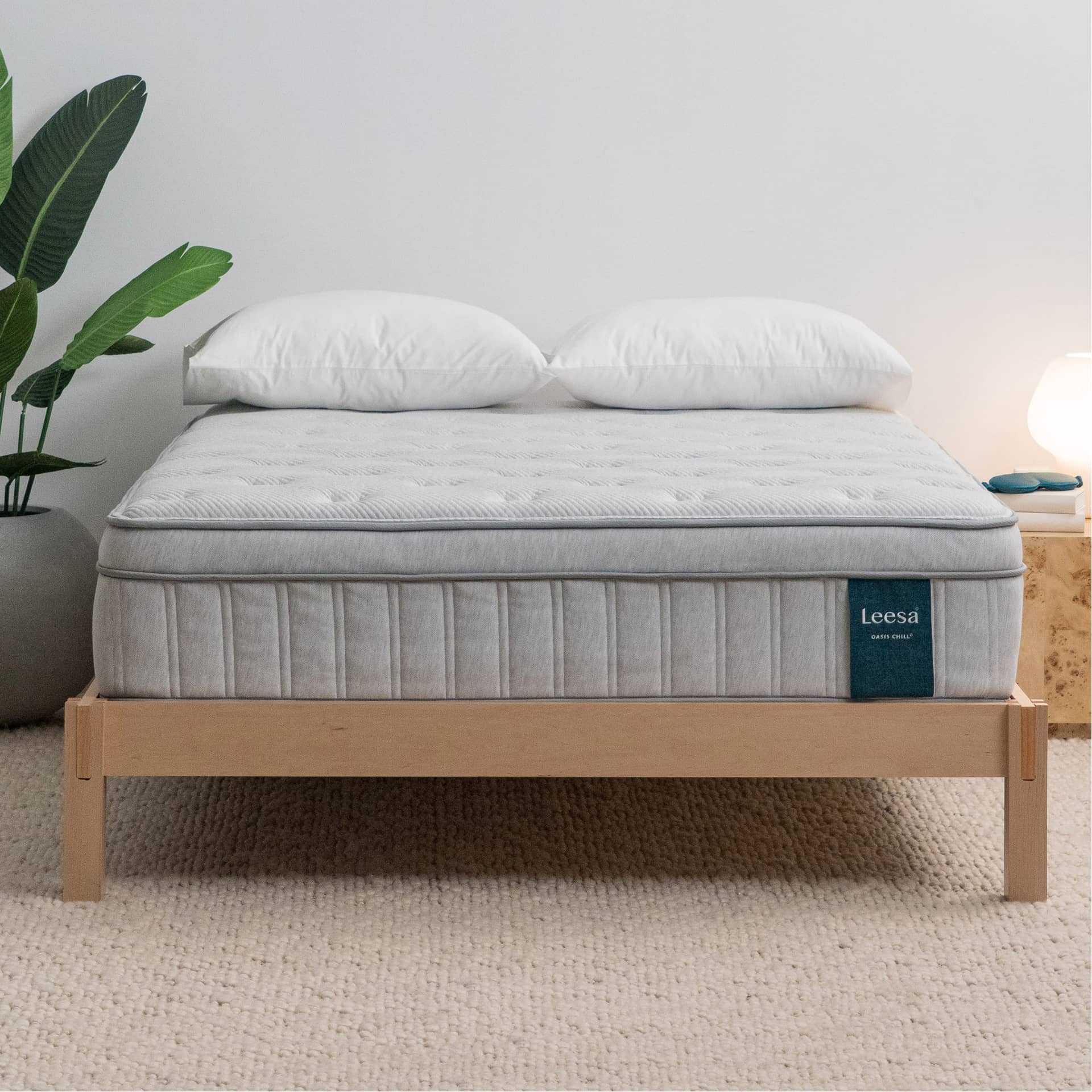 Leesa Oasis Chill 13.5" Euro Top Medium Firm Hybrid Mattress, Queen